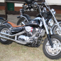 2012_Sommerparty-140