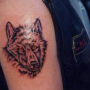 1995_PEGASUS_GIESSEN_019