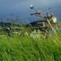 1995_SOMMERPARTY_041
