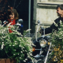 1997_ALKE_SHORTY_119