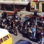 1997_ALKE_SHORTY_126