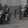 1997_ALKE_SHORTY_438