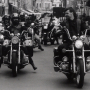 1997_ALKE_SHORTY_459
