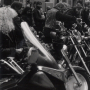 1997_ALKE_SHORTY_493