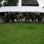 2008_Sommerparty-016