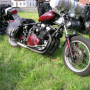 2008_Sommerparty-023