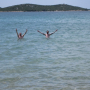 2010_Kroatien-203