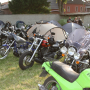 2013_Sommerparty-184